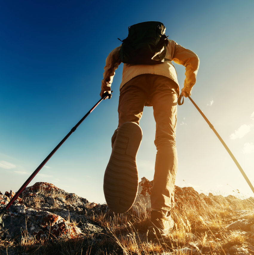 Trekking Poles Guide